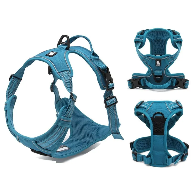 Coleira para cachorro de médio porte Tórax 69-81 cm Azul