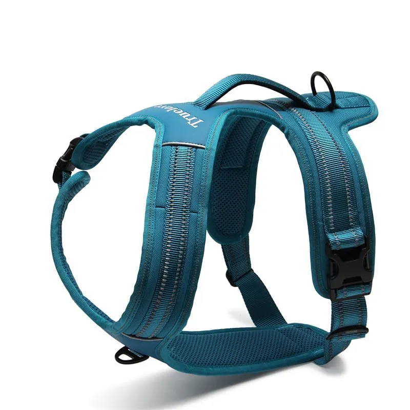 Coleira para cachorro médio grande porte Tórax 70-95 cm Azul
