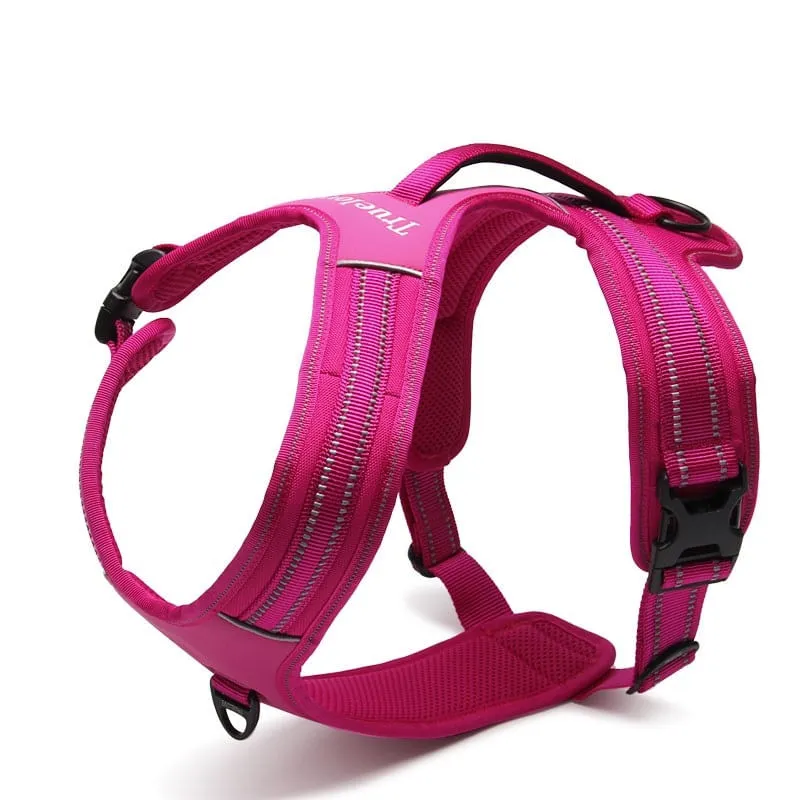 Coleira para cachorro de grande porte Tórax 90-125 cm Rosa