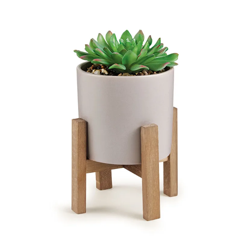 11659-Cachepot Em Ceramica Com Suculenta Permanente