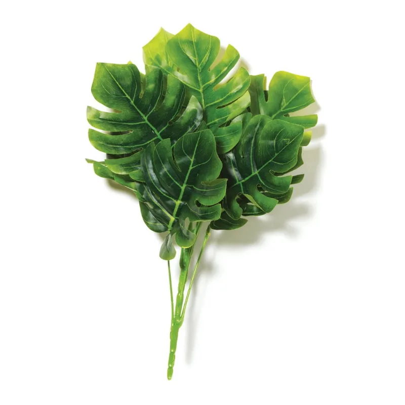 Planta permanente estilo costela de adao 37cm