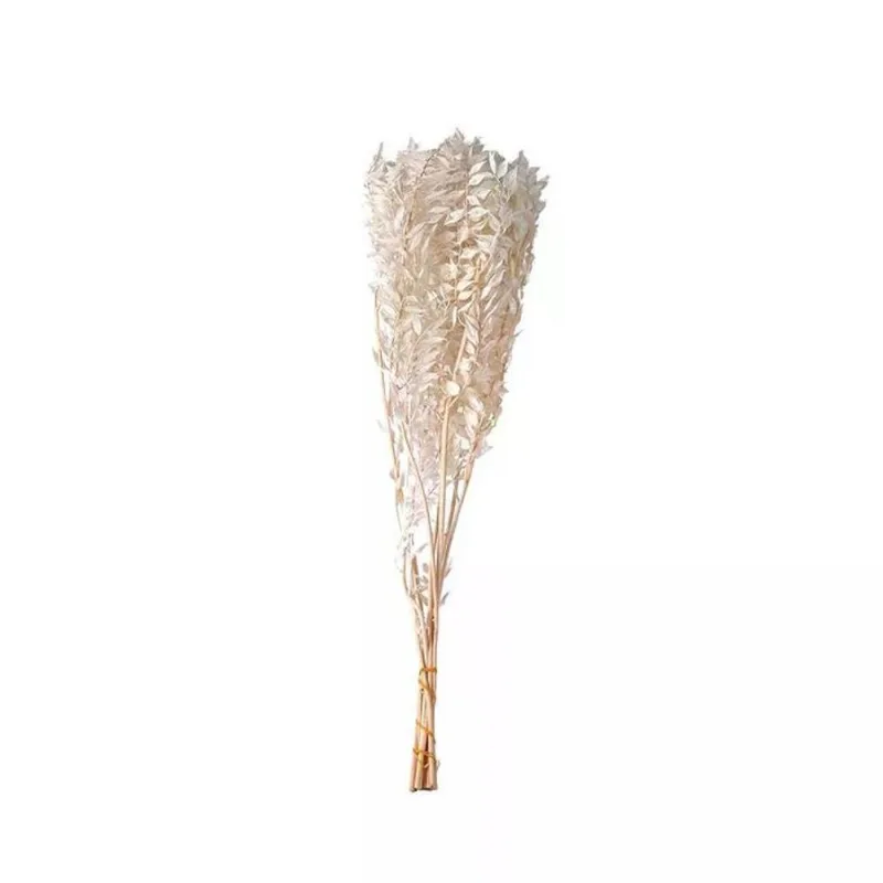 Flor minirruscus preservada mart 60CM
