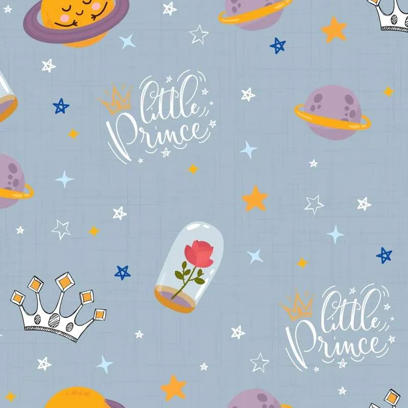 Papel de Parede Pequeno Principe 2,70x0,57m