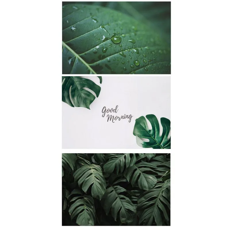 Kit Placas Quadros Decorativos 3 pçs MDF 20x30 Folhas
