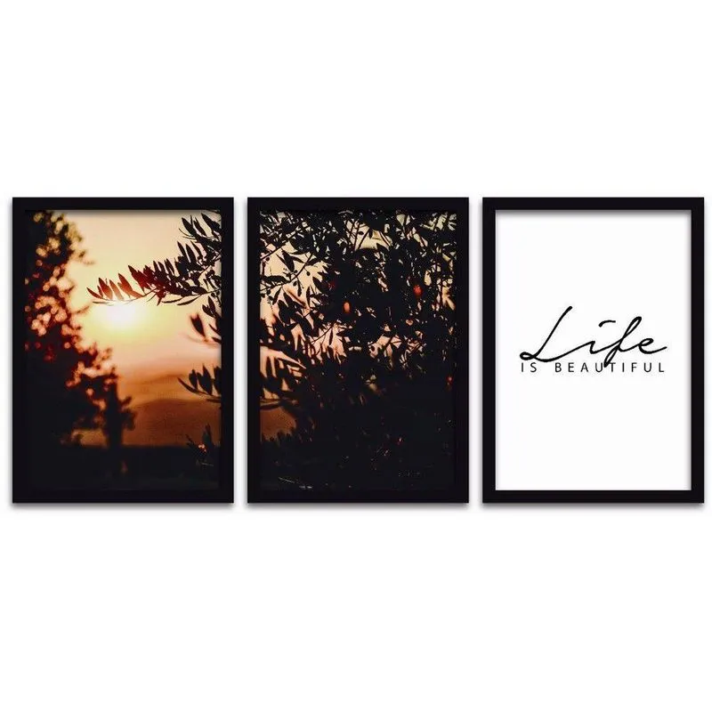 Quadros Decorativos 3 Peças 20x30 Life Moldura Preta