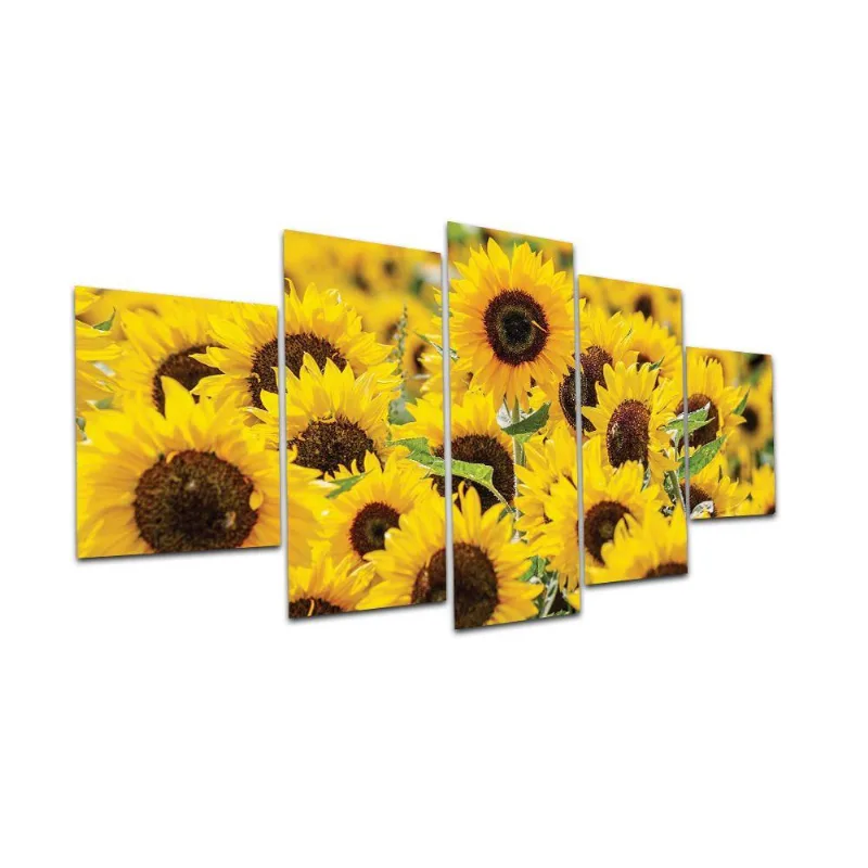 Kit Placas Decorativas 5 Peças 3D Borda Infinita Girassol