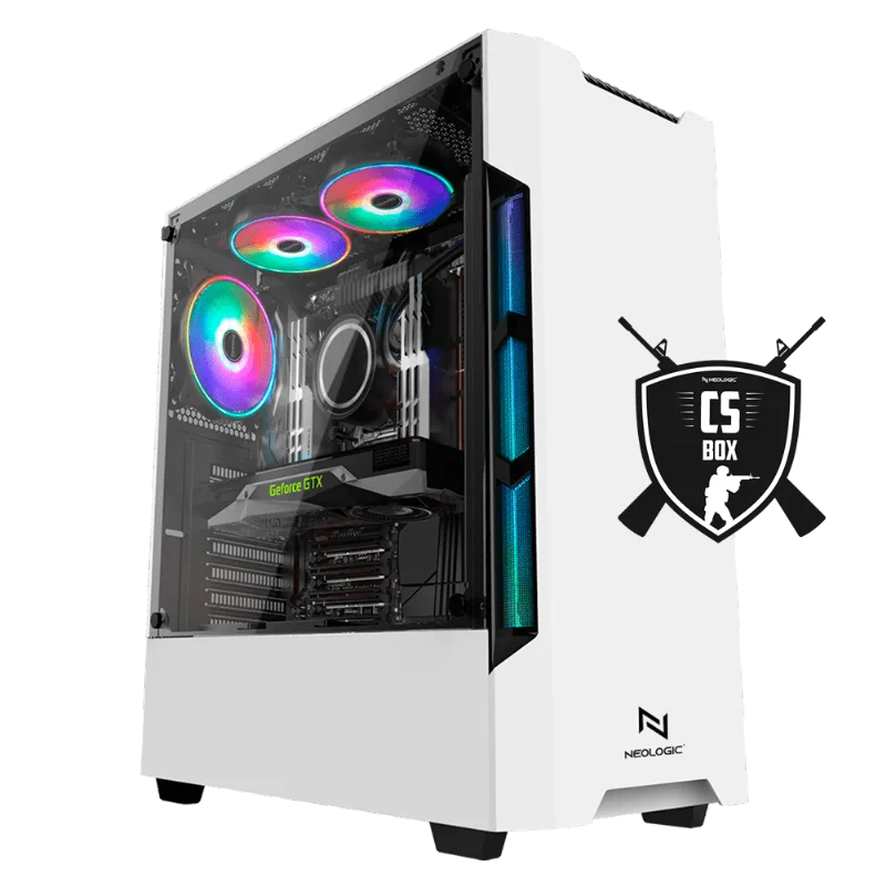Pc Gamer Neologic CS BOX NLI83317 Ryzen 5 5600g 8gb (GTX 1660 Super) SSD 240gb 500W