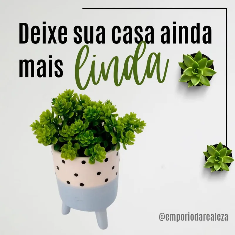 Vaso Suculentas, Cacto, Flores e Plantas /Cachepot Azul /