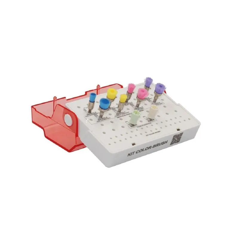 Kit Para Profilaxia Color-brush - American Burrs