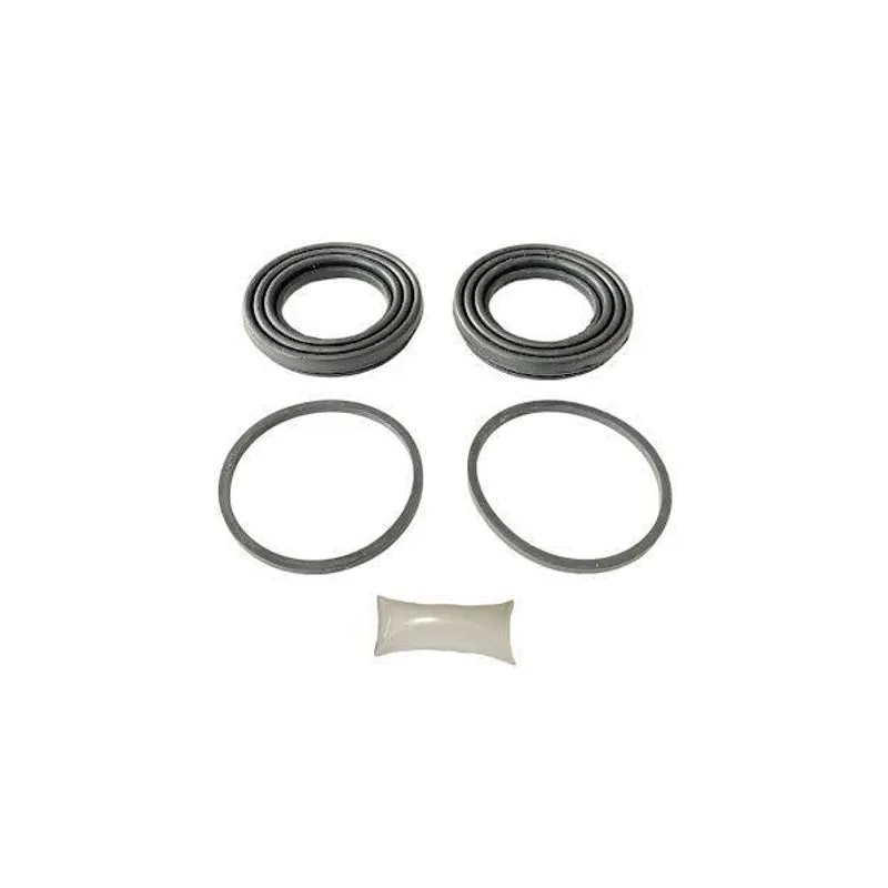 Reparo Vedação Pistão Freio Dianteiro F250 F350 F4000 54mm