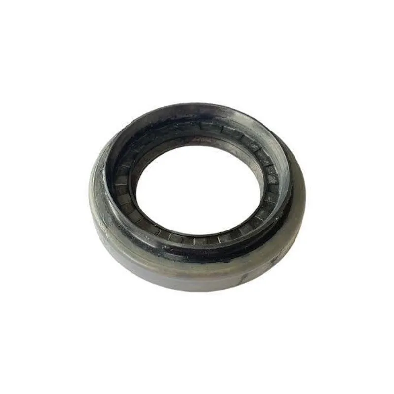 Retentor Pinhão Diferencial F1000 D10 D20 93216456 Braseixos