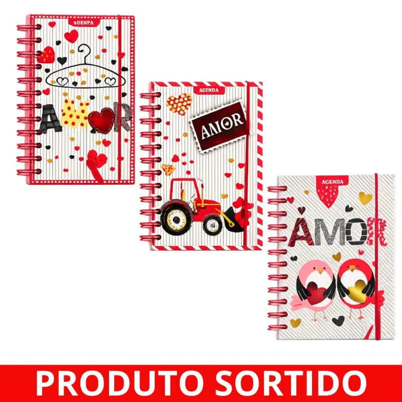 Agenda Permanente Espiral Capa Dura 11,2x15 Sortida 7522 Amigold - UN