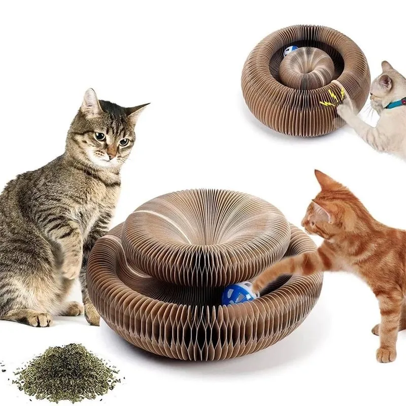 Arranhador Mágico Para Gato Tábua De Arranhar Interativa Pet