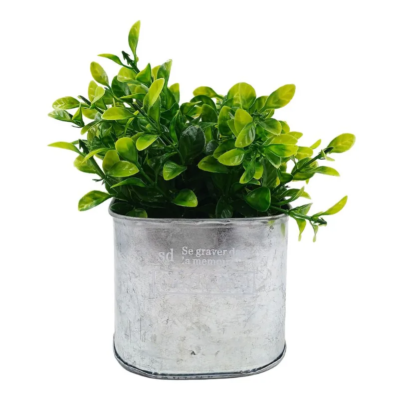 Vaso C/ Planta Artificial 10x10x21cm em Plástico Moment