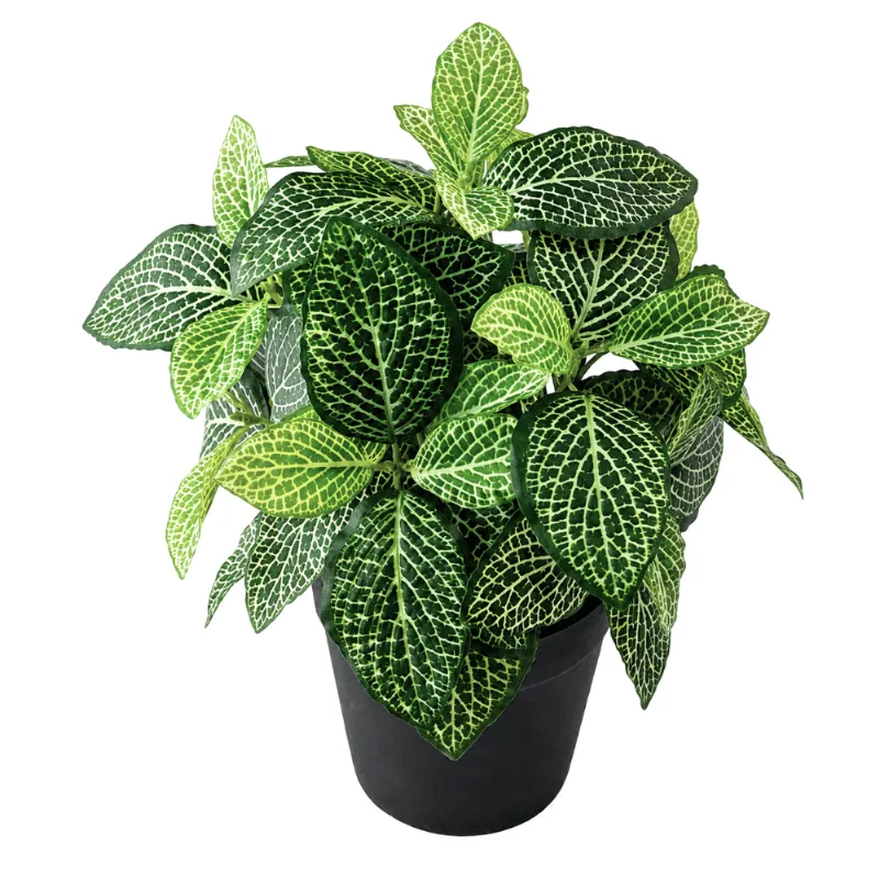 Vaso De Planta Artificial 8,8x8,8x23 - Moment