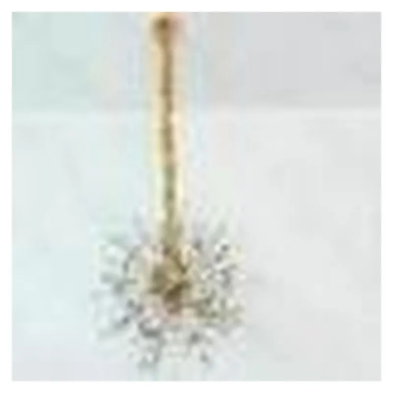 Pendente de Cristal e Metal Dourado 12 Lâmpadas G9 60cm - Sindora DCD01285