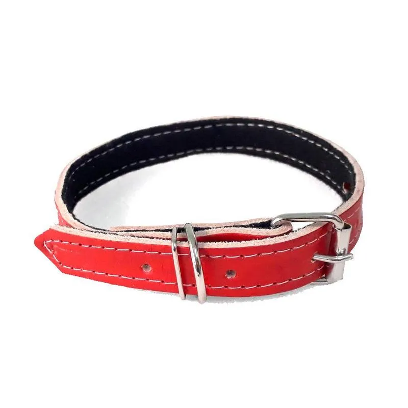 Coleira São Benedito Pet Couro Forrado Vermelho Para Cães - Tamanho 5