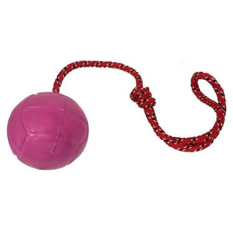Brinquedo Bola Agility Cristal Lisa Para Cães 55Mm (1044)