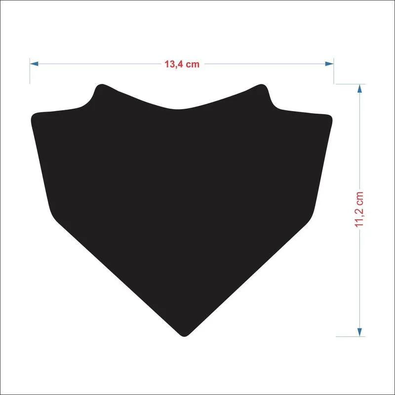 Protetor Resinado Para Proteção Da Rabeta Moto Cb 300r