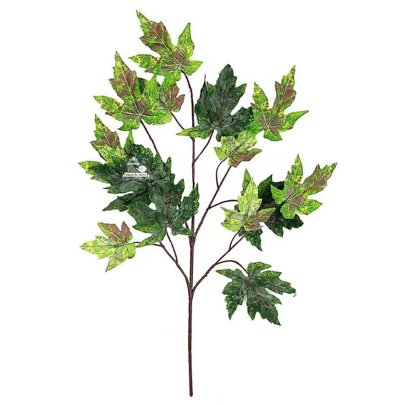 5 Unidades Galho De Folha Maple Plátano Bordo Canadá Verde