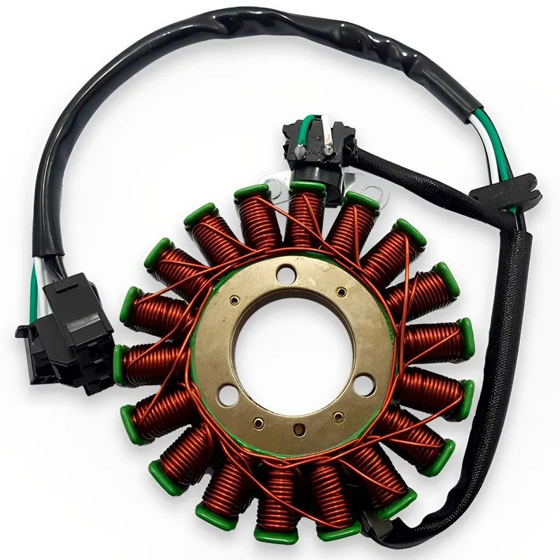 Estator Completo Ninja 300 2013 A 2017 Com E Sem Abs - Zouil