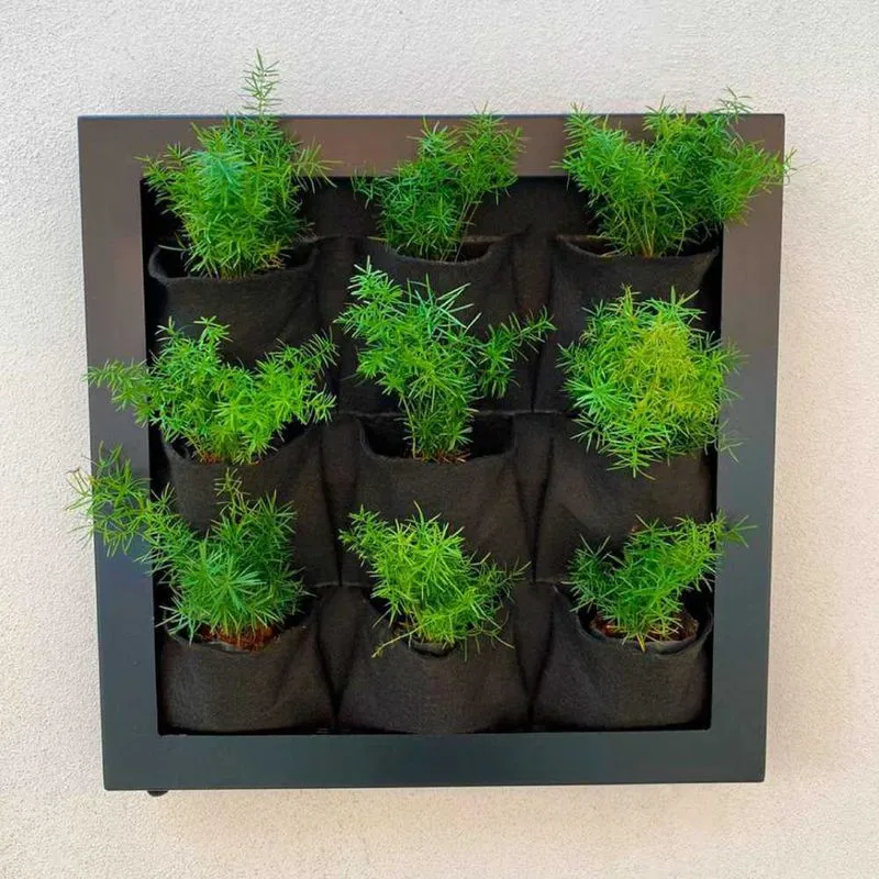 Quadro Jardim Vertical 58x58 Contemporâneo Casa Dona