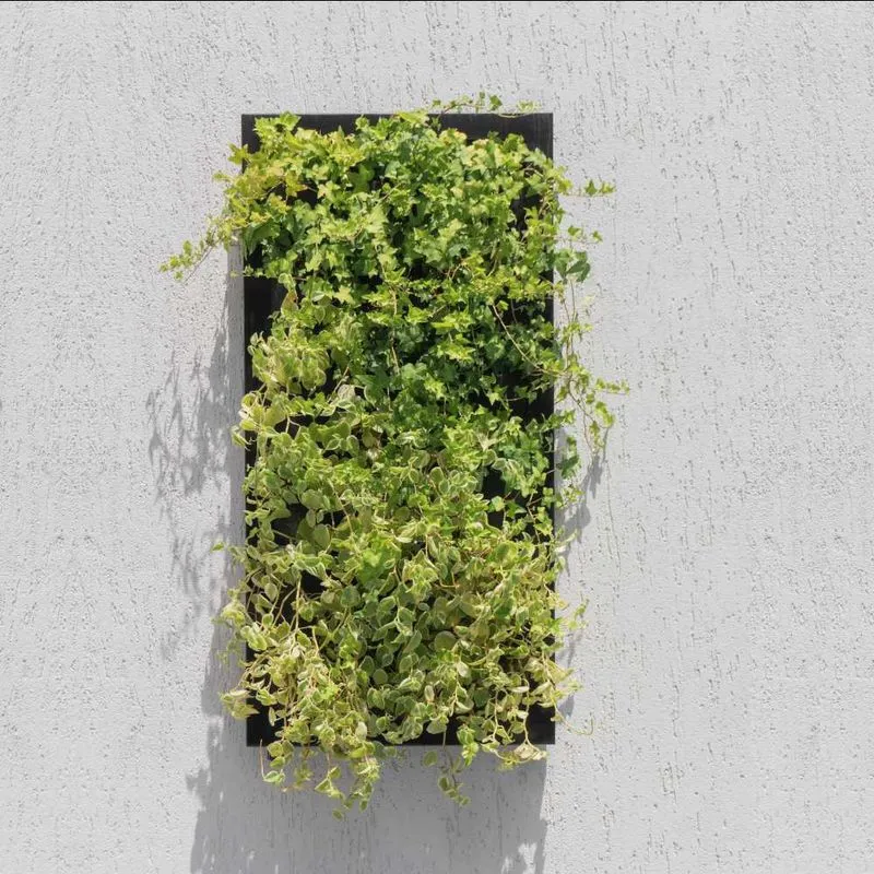 Quadro Jardim Vertical 58x118 Contemporâneo Casa Dona