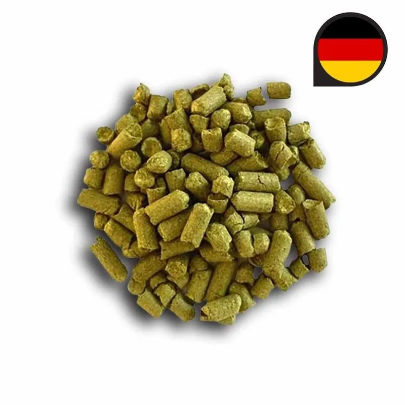 Lúpulo hallertau hallertauer tradition safra 2021 - 50G