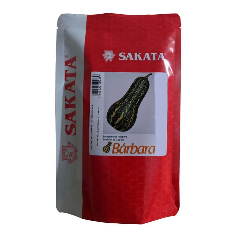 Sementes De Abóbora Bárbara - 1.000 Sementes - Sakata