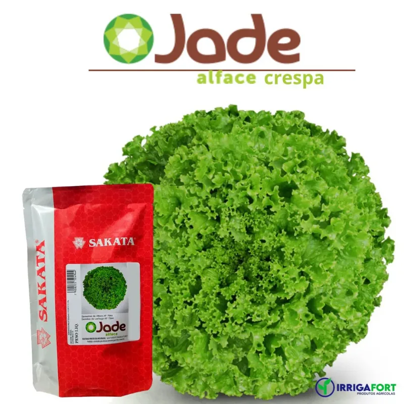 Sementes De Alface Crespa Jade - 25.000 sementes - Sakata