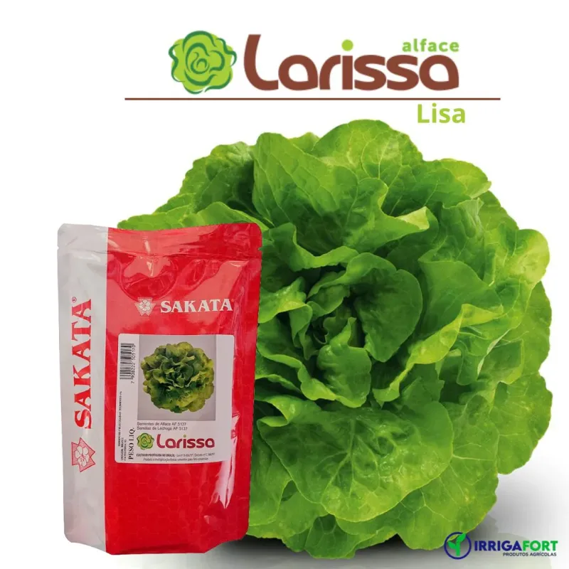 Sementes De Alface Lisa Larissa - 7.500 Sementes - Sakata