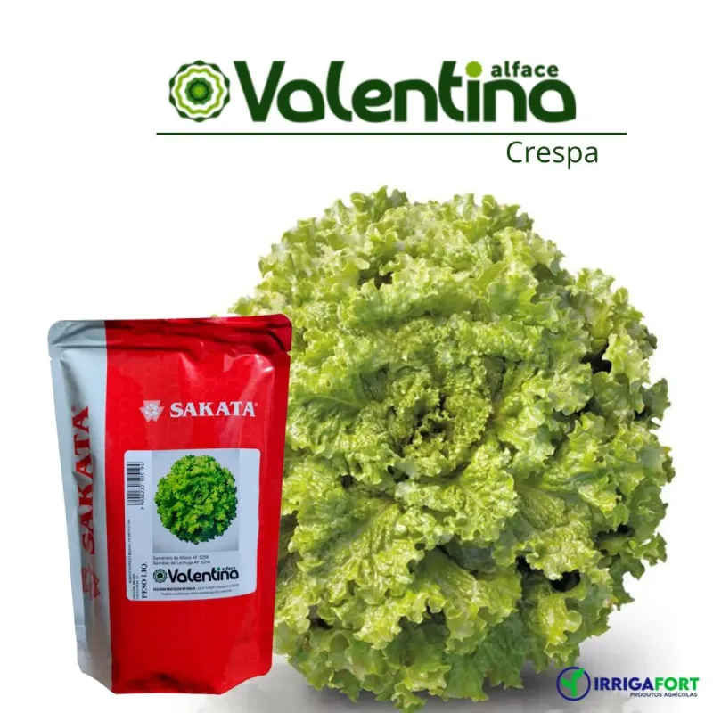 Sementes De Alface Crespa Valentina - 25.000 sementes - Sakata
