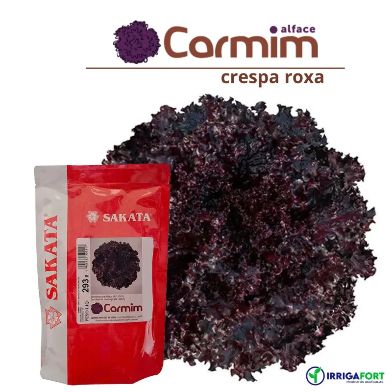 Sementes De Alface Crespa Roxa Carmim - 7.500 Sementes - Sakata