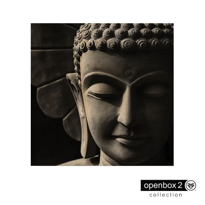 Quadro Wood Print 60X60 Fundo Preto Buda