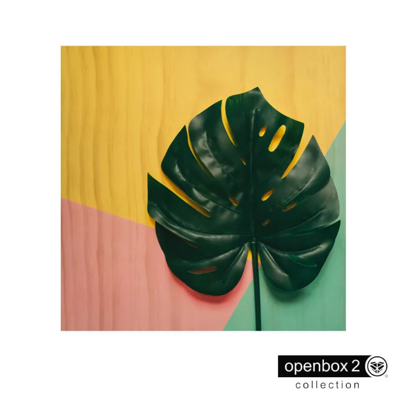 Quadro Wood Print 60X60 Fundo Colorido Folha Verde