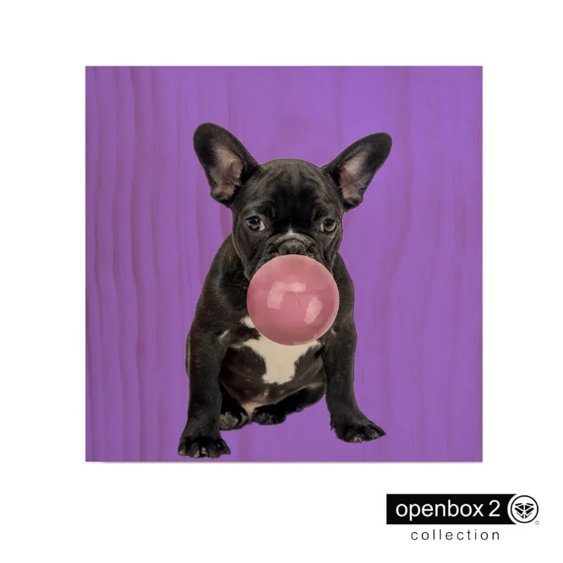 Quadro Wood Print 60X60 Fundo Roxo Bulldog