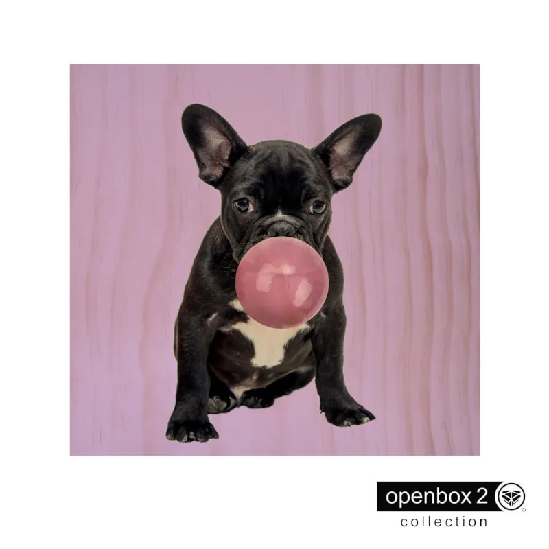 Quadro Wood Print 40X40 Fundo Roxo Bulldog