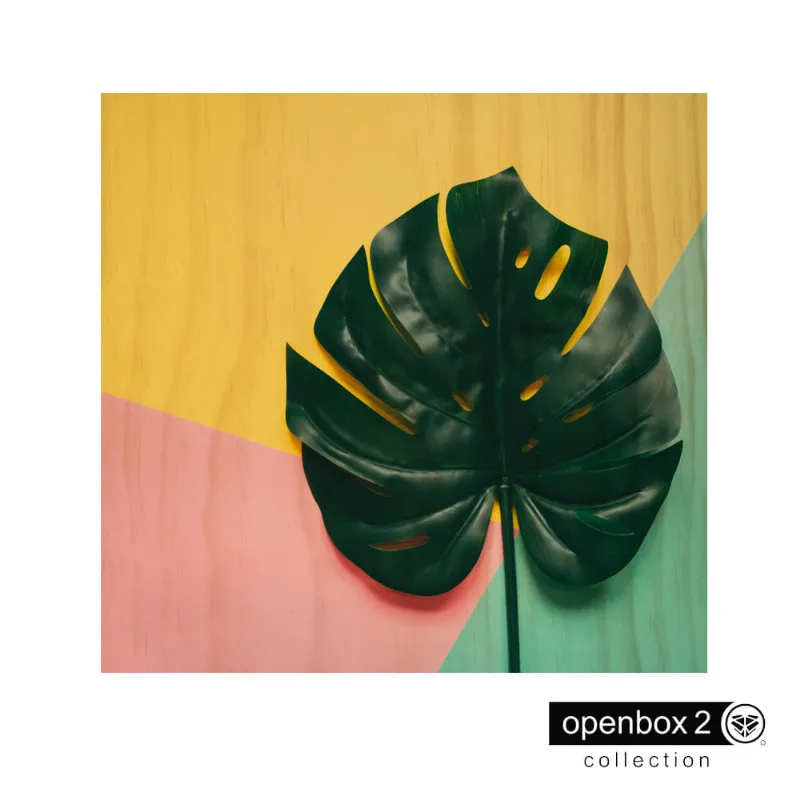 Quadro Wood Print 40X40 Fundo Colorido Folha Verde