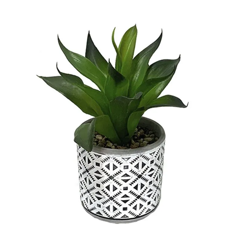 Arranjo Planta Le com Cachepot Cimento 22cm