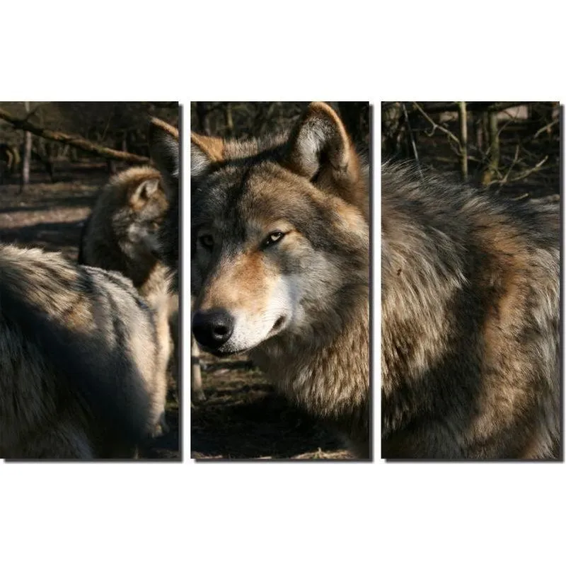 Quadro Decorativo Lobo 3 Peças