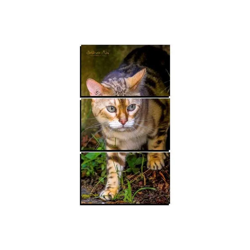 Quadro Decorativo New Decor Pet Gato 23 MDF 3 Peças