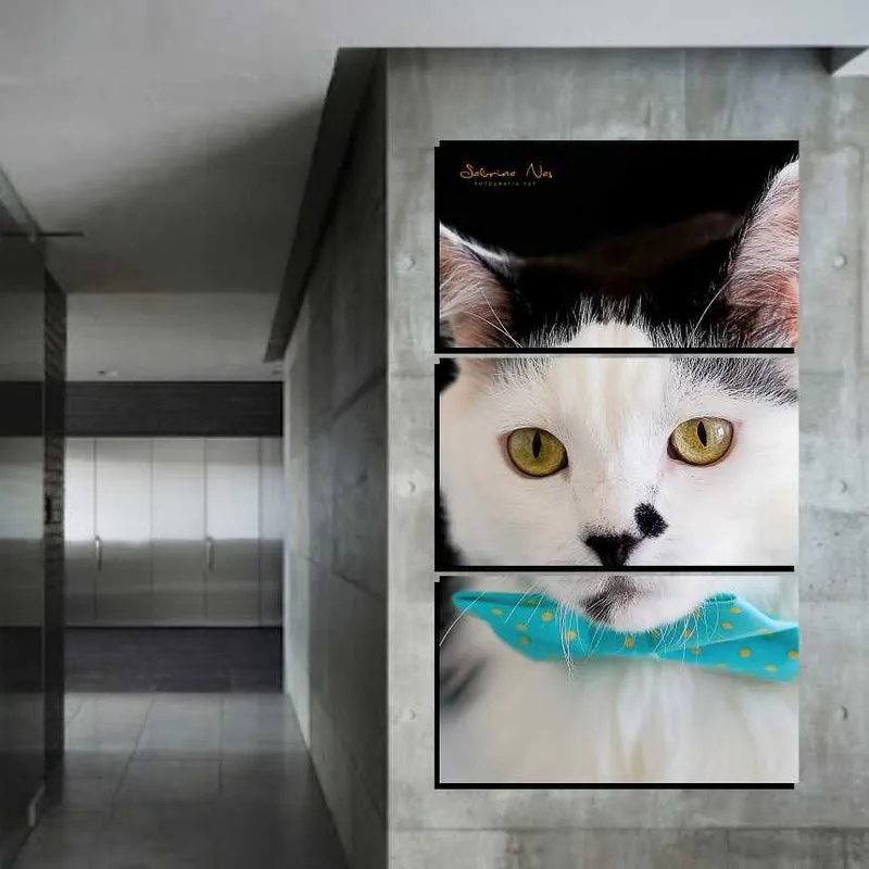 Quadro Decorativo New Decor Pet Gato 39 MDF 3 Peças