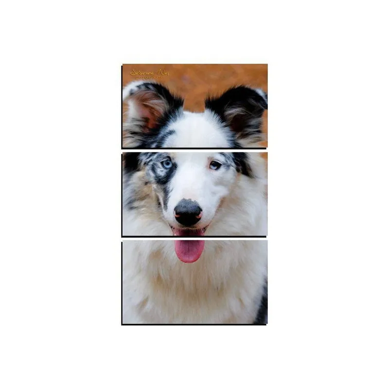 Quadro Decorativo New Decor Pet Cachorro 02 MDF 3 Peças