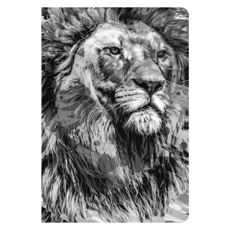 BÍBLIA NTLH YOUVERSION THE LION P&B