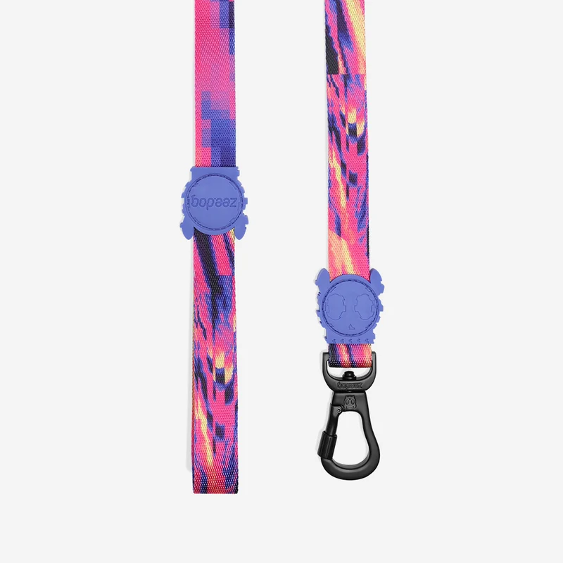 Error #500 | Leash Small