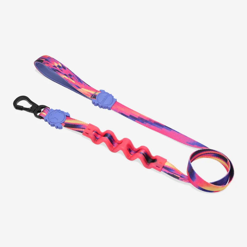 Error #500 | Ruff Leash Large
