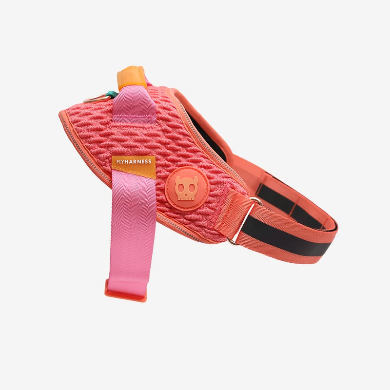 Gazelle | FlyHarness Size 4