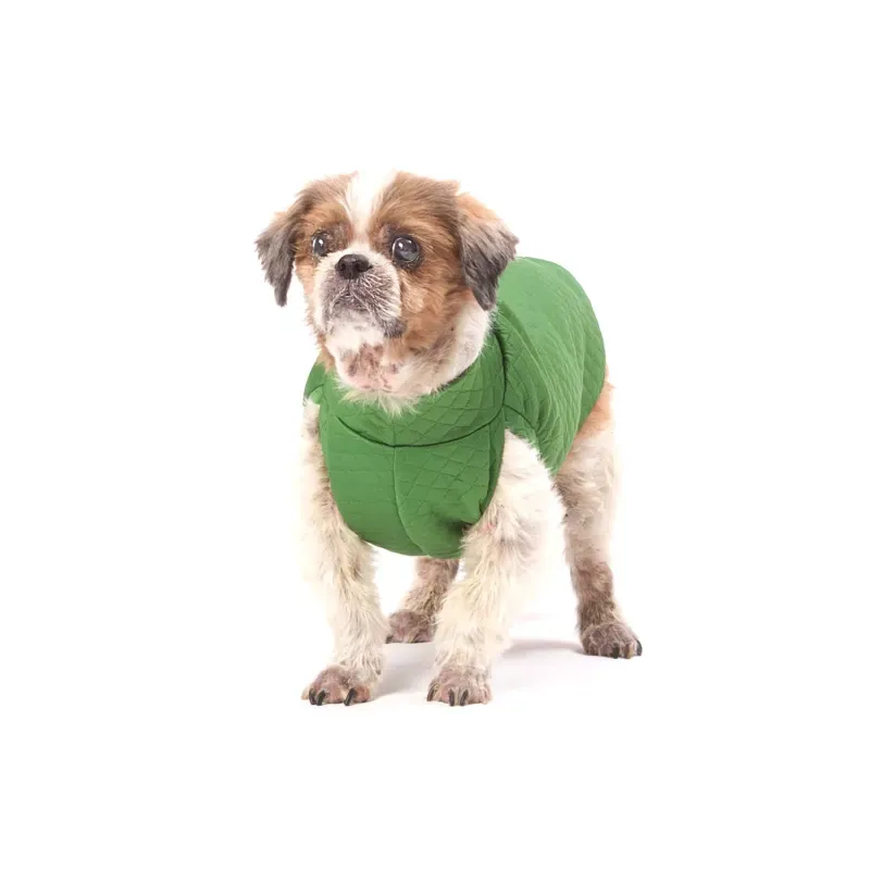 Blusa Matelassê Verde Fábrica Pet M