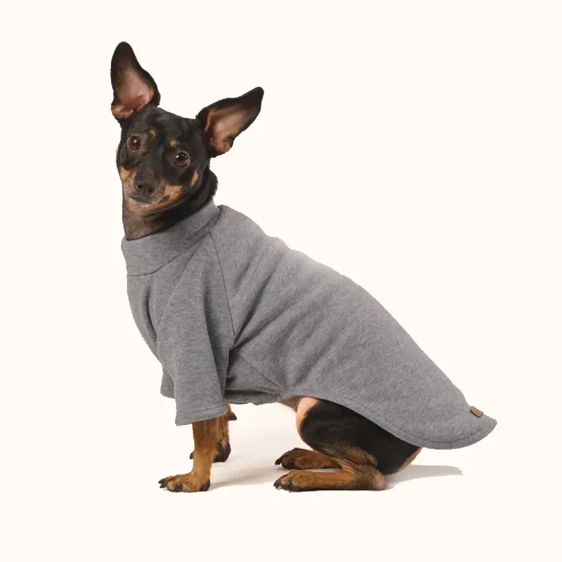 Moletom com Manga Fábrica Pet Cinza M