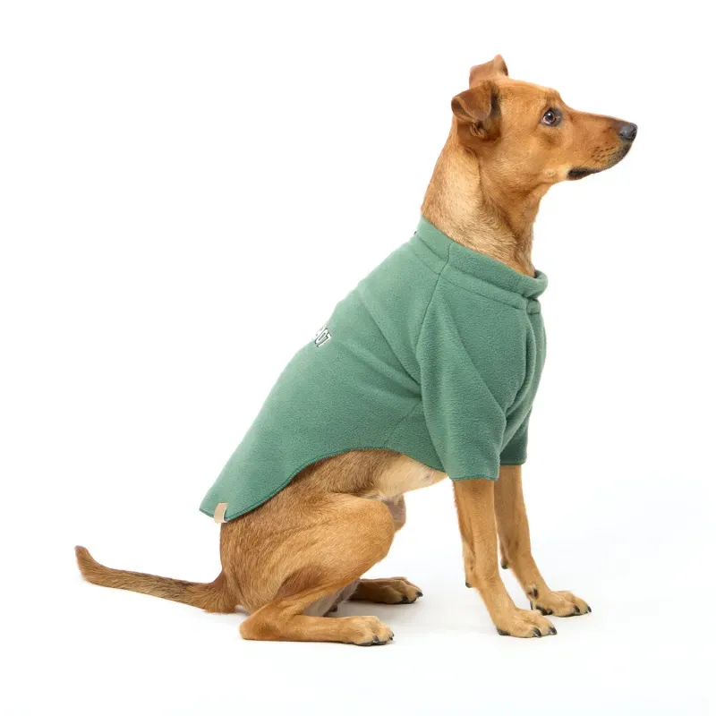 Blusa para Cães e Gatos 2007 Fábrica Pet Verde GG